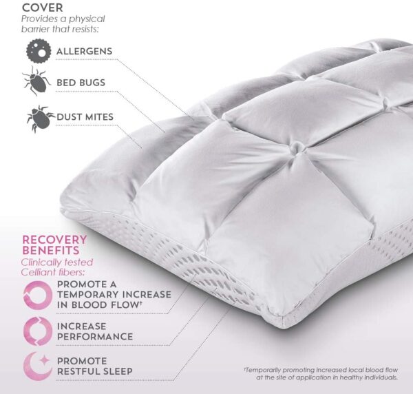 Purecare Body Chemistry Pillow Latex - Imagen 3