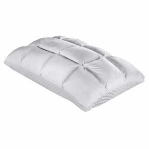 Purecare Body Chemistry Pillow Latex