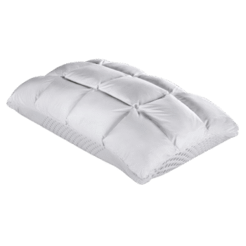 Purecare Body Chemistry Pillow Latex