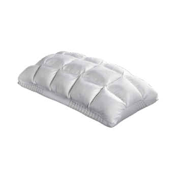Purecare Body Chemistry Pillow Comfy