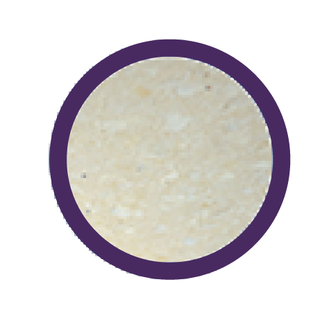 ortopedico