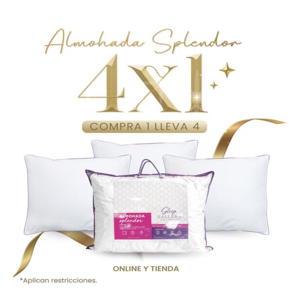 Almohada Splendor – Paga 1 lleva 4