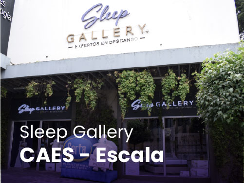 Sleep Gallery Carretera Al Salvador