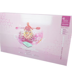 PILLOW DOWN SUPREME  PCCELD730