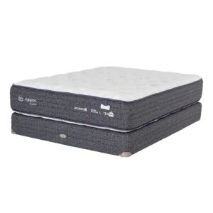 Serta Isupport Heavy Duty